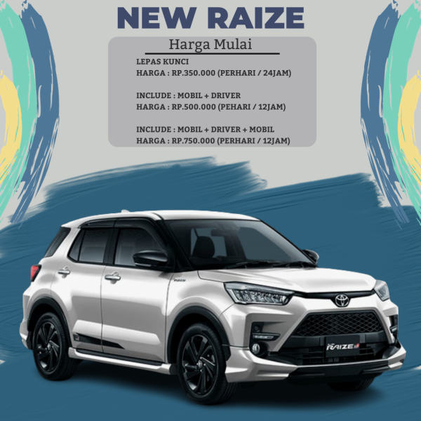NEW RAIZE